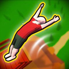 Crazy Flips 3D