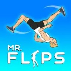 Mr Flip